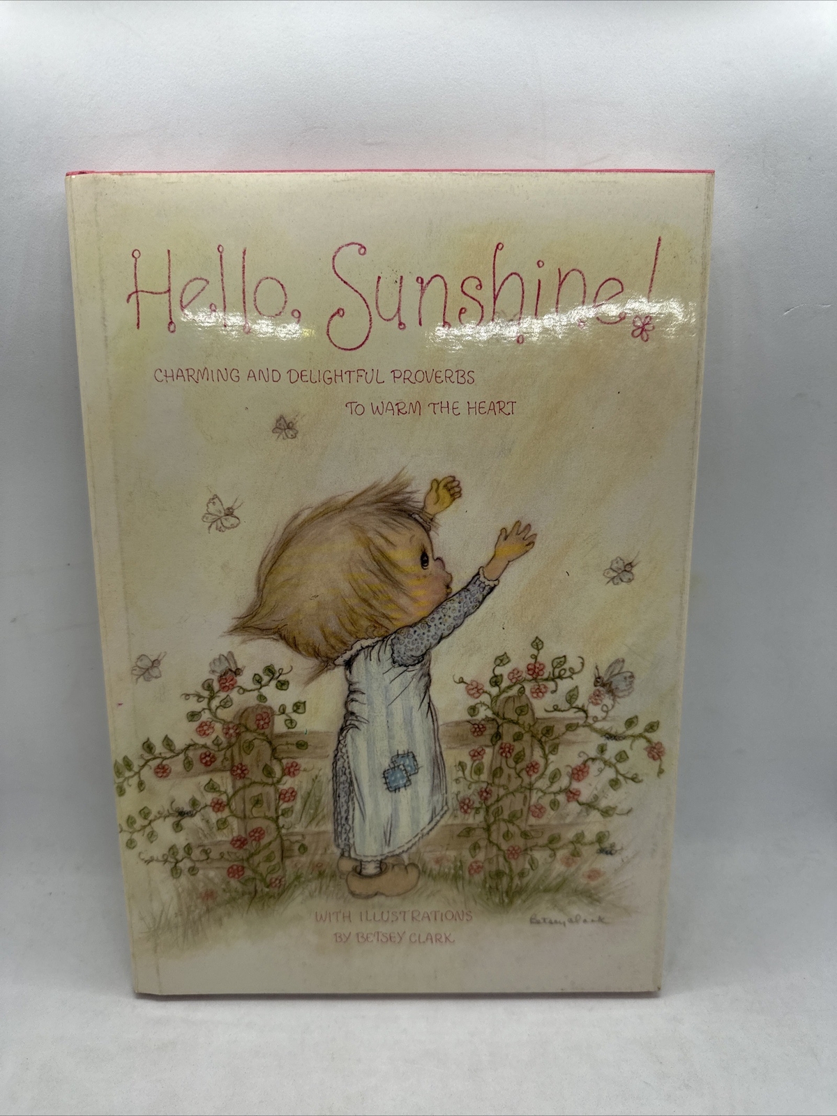 Hello, Sunshine (Hallmark Crown Editions) – Hardcover – GOOD 1972 Proverbs