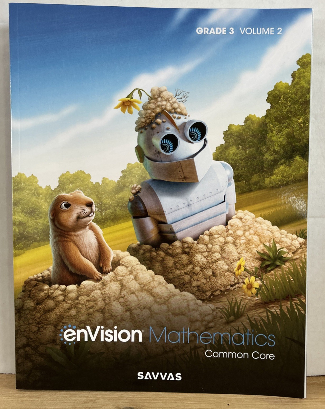 Grade 3 Envision Mathematics 2020 Common Core Student Edition Volume 2