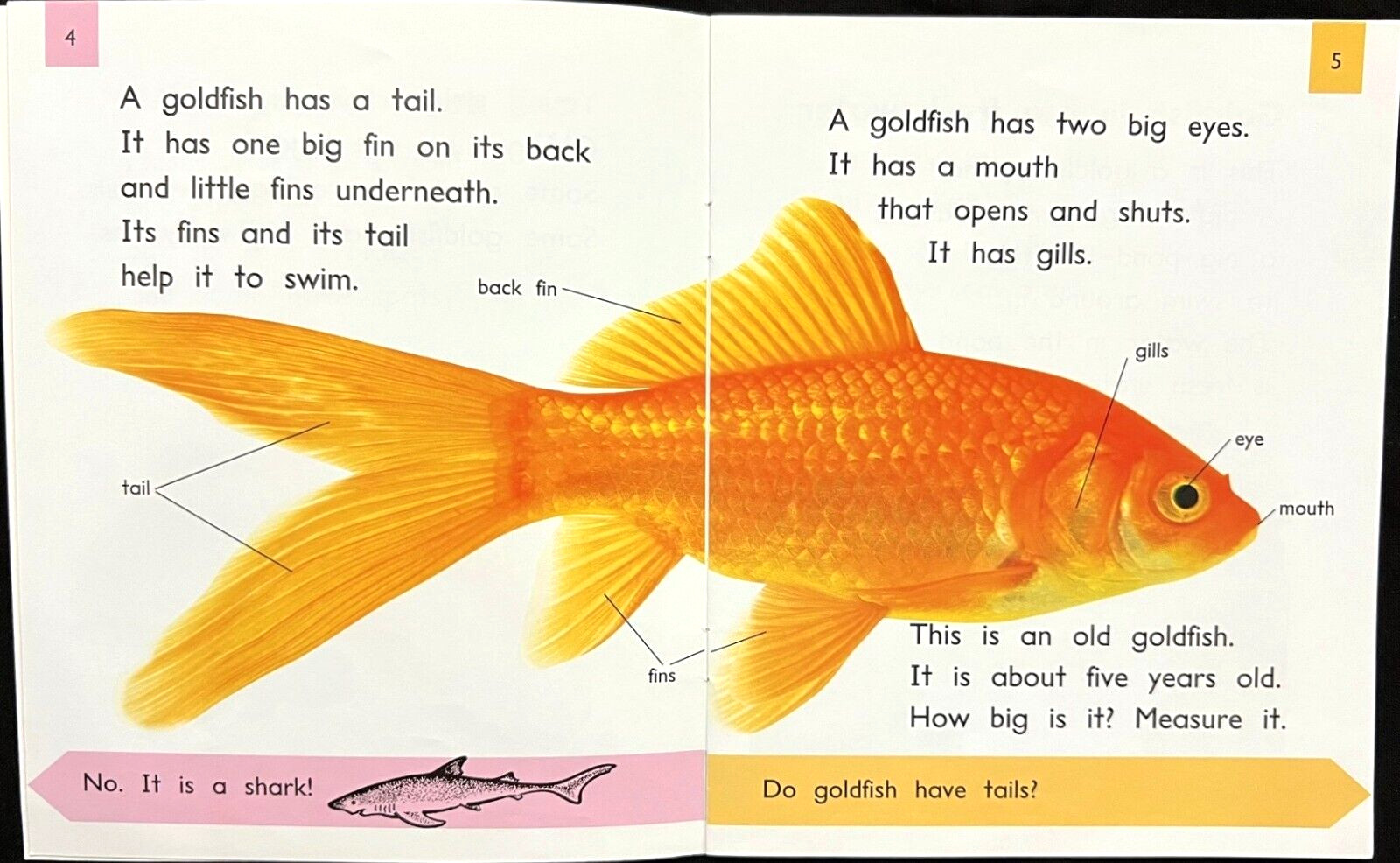 2nd Grade – RIGBY PM COLLECTION – ANIMAL FACTS READERS (8 books) (2013)