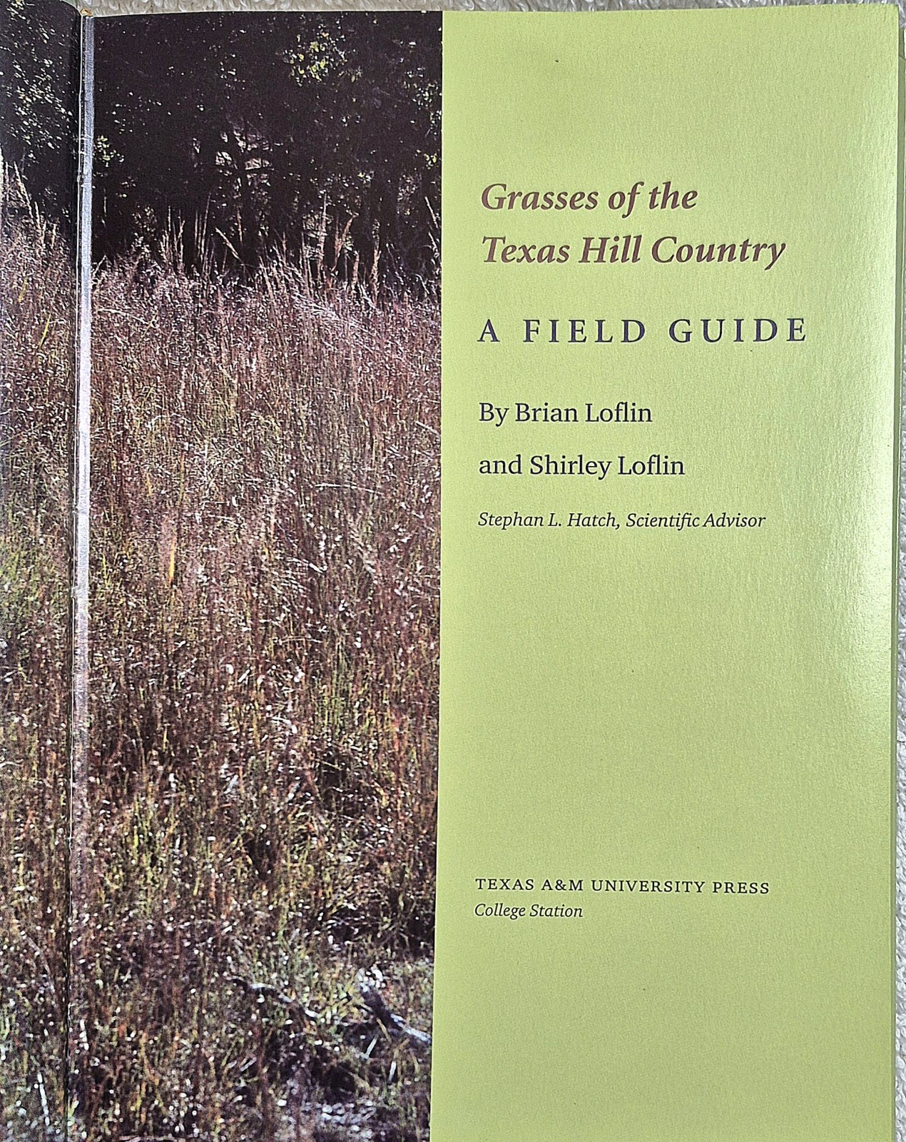 Grasses of the Texas Hill Country • (Loflin & Loflin • 2006) • Field Guide