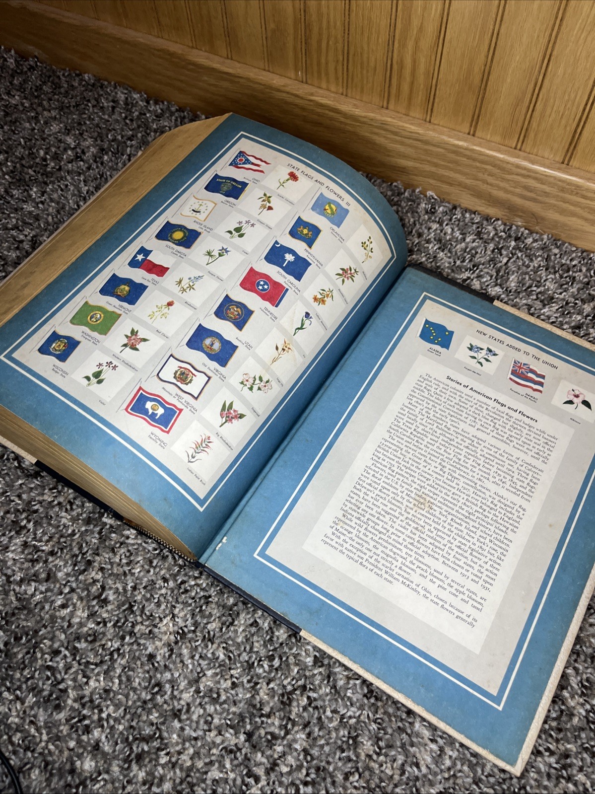 WEBSTER’S Encyclopedia of Dictionaries New American Edition 1978 Large Type Book