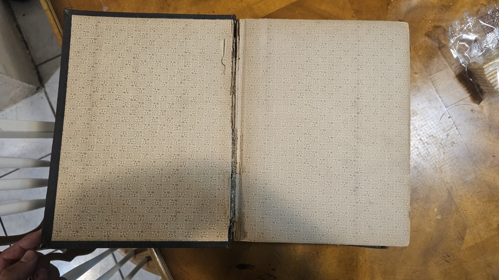 Webster’s Unabridged Dictionary: American Dictionary of English Language 1891