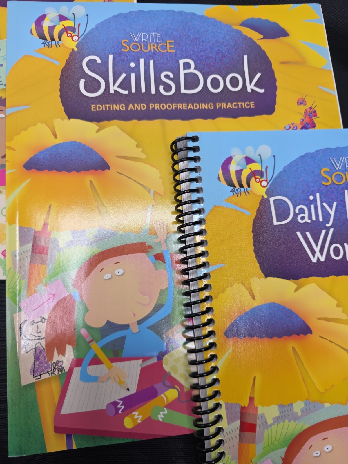 Write Source Skills Book Teachers Edition Student Book & Language Workouts Gr 2