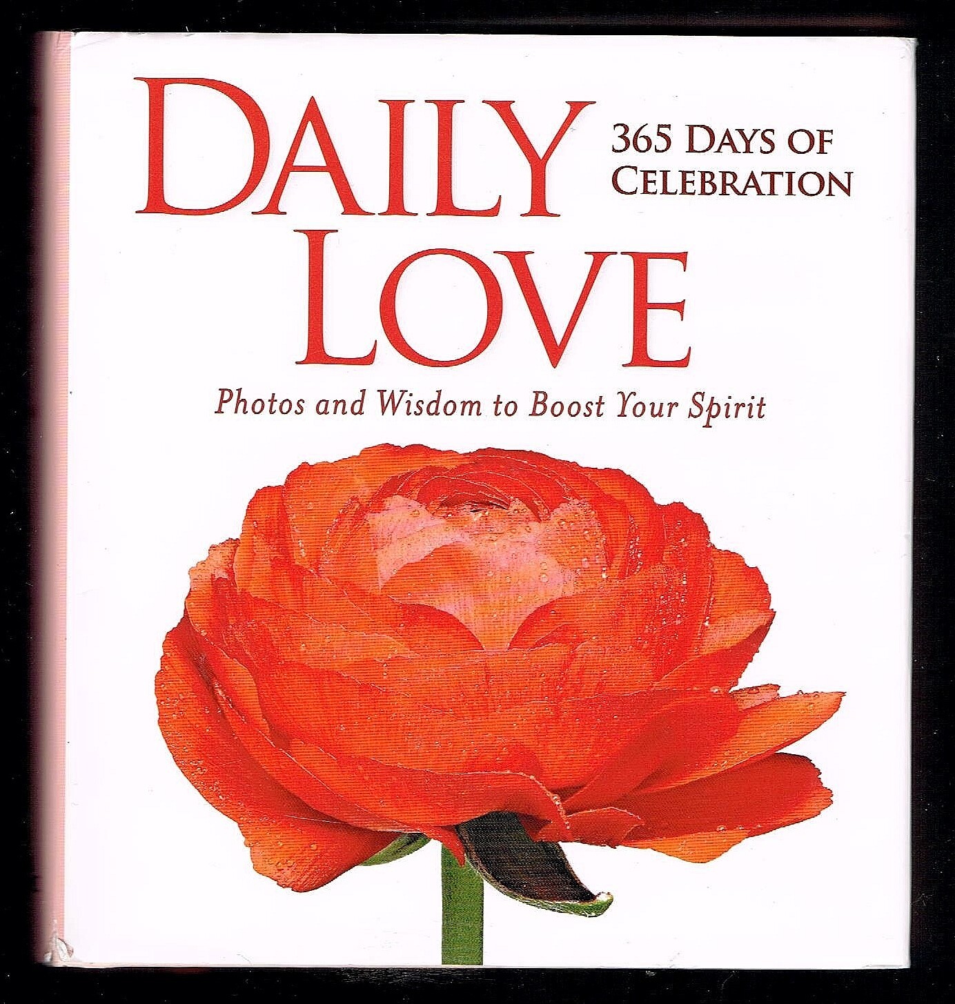 Daily Love: 365 Days of Celebration by U. S. National Geographic Society