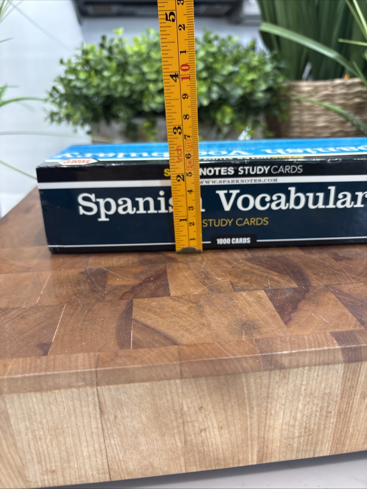 SparkNotes Study Cards SPANISH Vocabulary by SparkNotes 1000 Cards Flash Cards