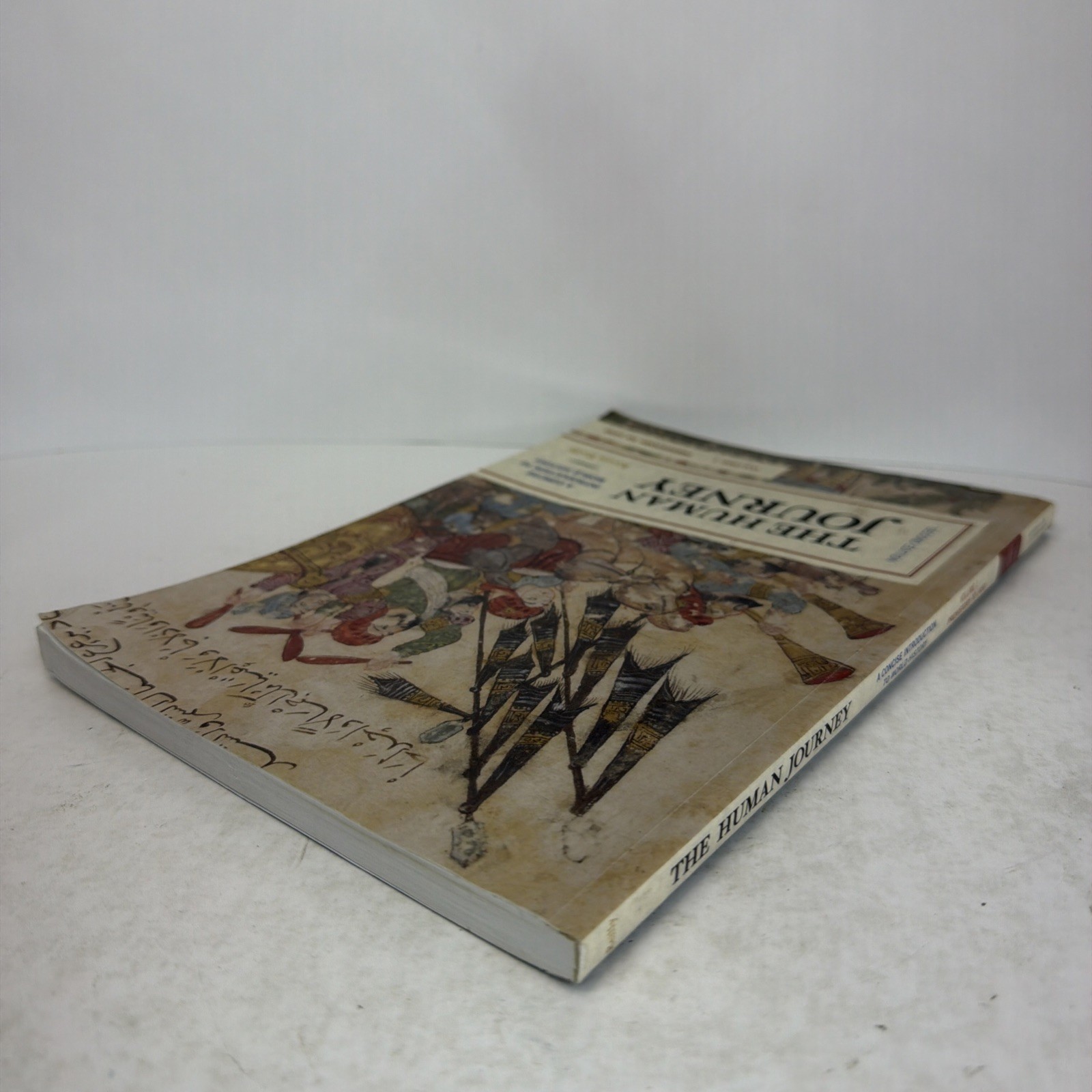 The Human Journey: Concise Intro. World History Prehistory-1450 Vol 1 2nd Ed PB