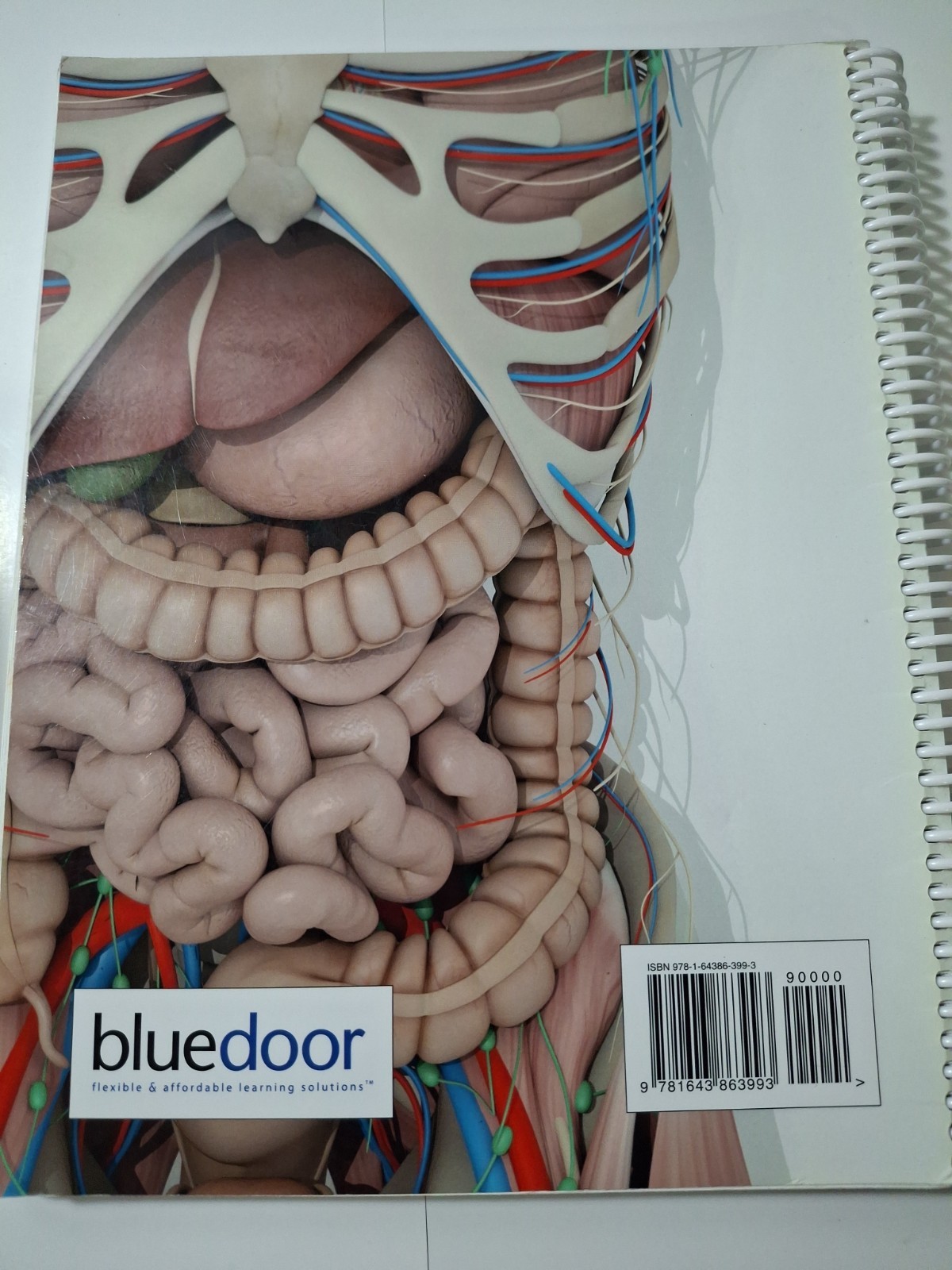 Human Anatomy And Physiology Lab Manual 4th Edition Broward College N Campus