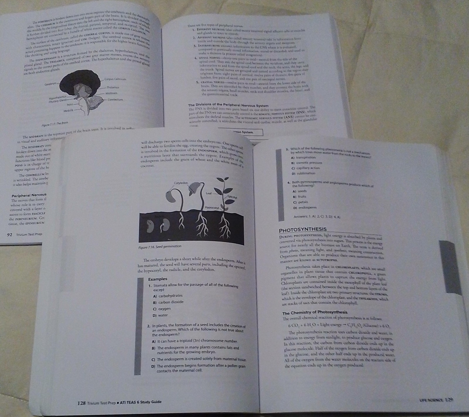 Trivium Test Prep ATI TEAS Test Study Guide 2020–2021 Sixth Edition Paperback