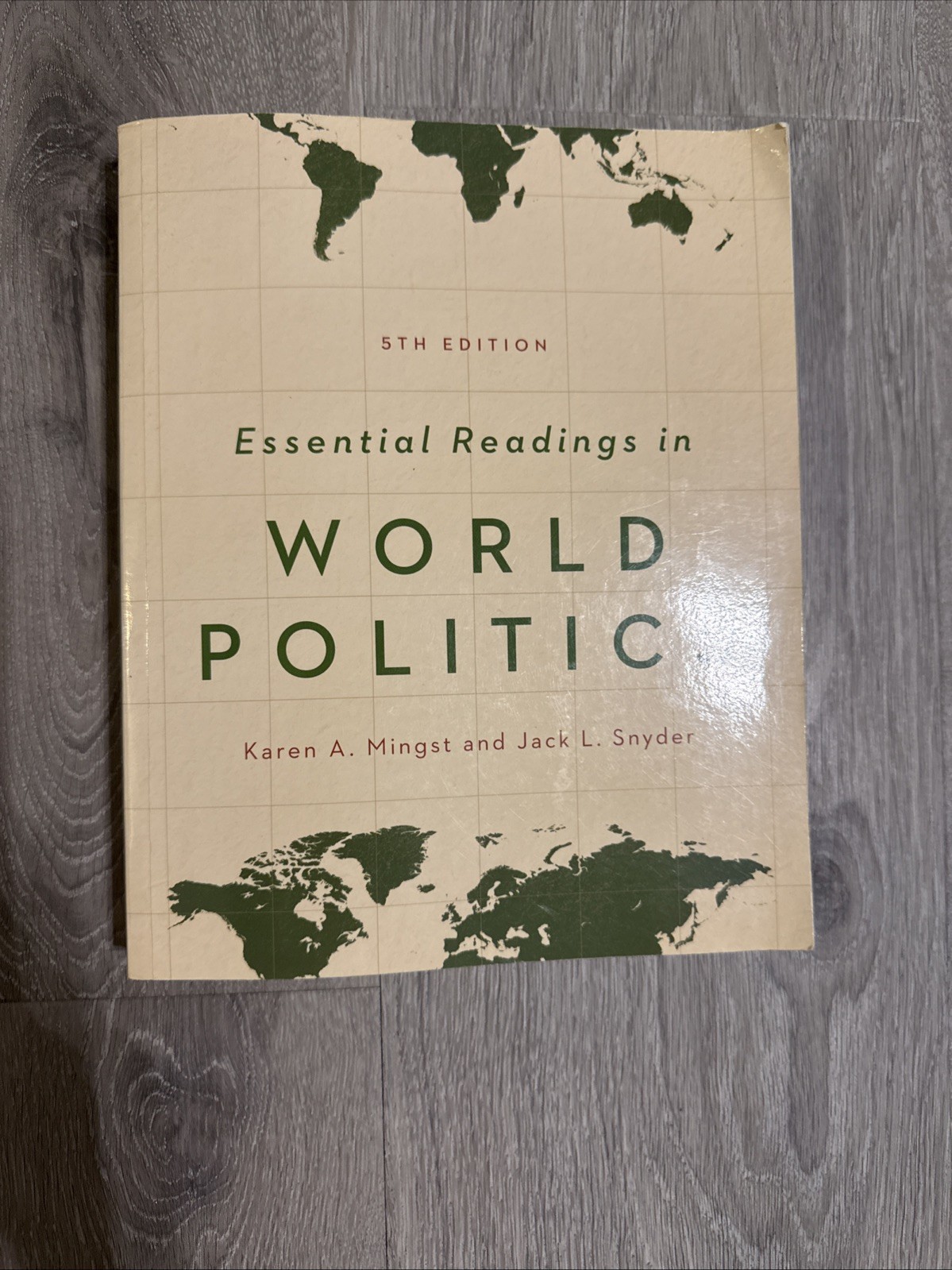 Essential Readings in World Politics by Karen A. Mingst (2013, Trade Paperback)