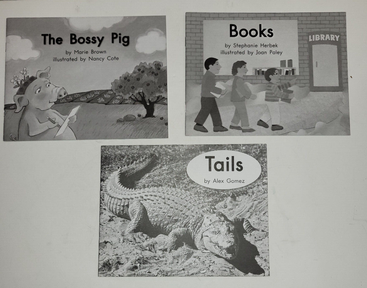 Fountas & Pinnell Lot of 25 My Take Home Book Readers Heinemann Various Authors
