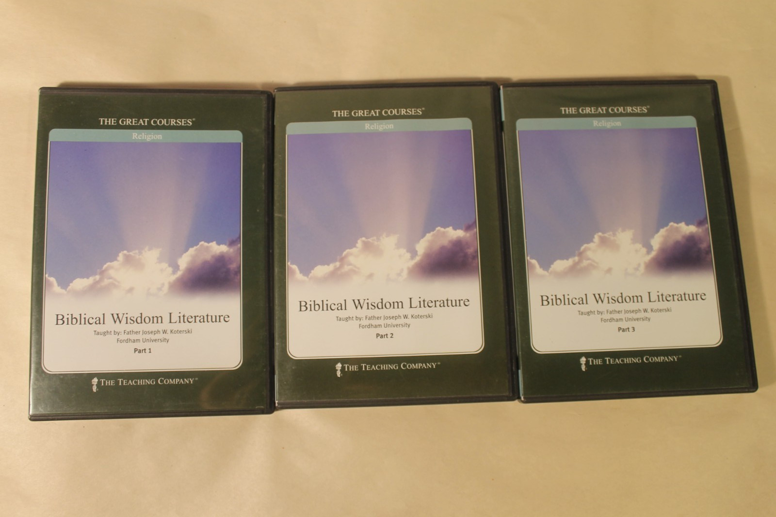 Biblical Wisdom Literature Great Course (DVD, Tested)