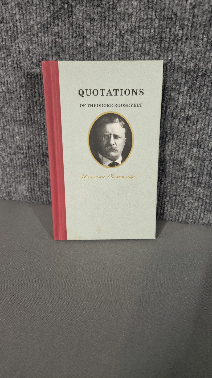 Quotations Of Theodore Roosevelt