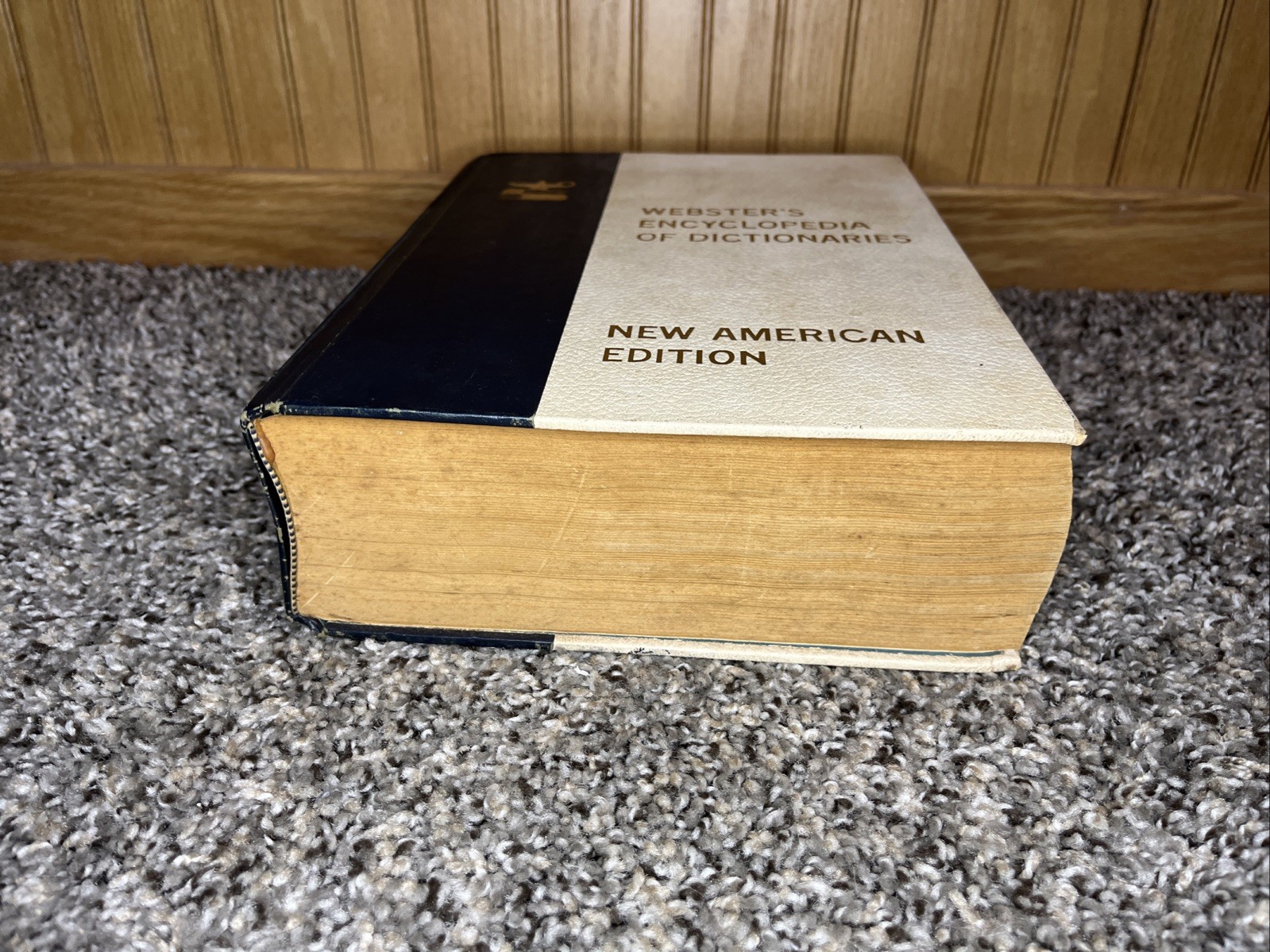 WEBSTER’S Encyclopedia of Dictionaries New American Edition 1978 Large Type Book