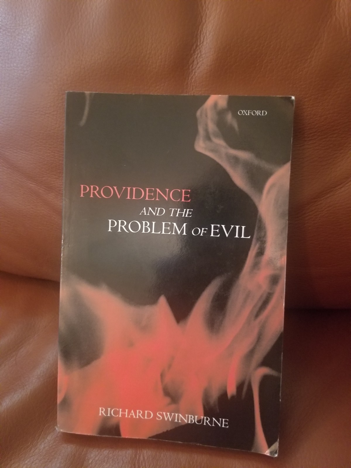 Providence And The Problem Of Evil Richard Swinburne