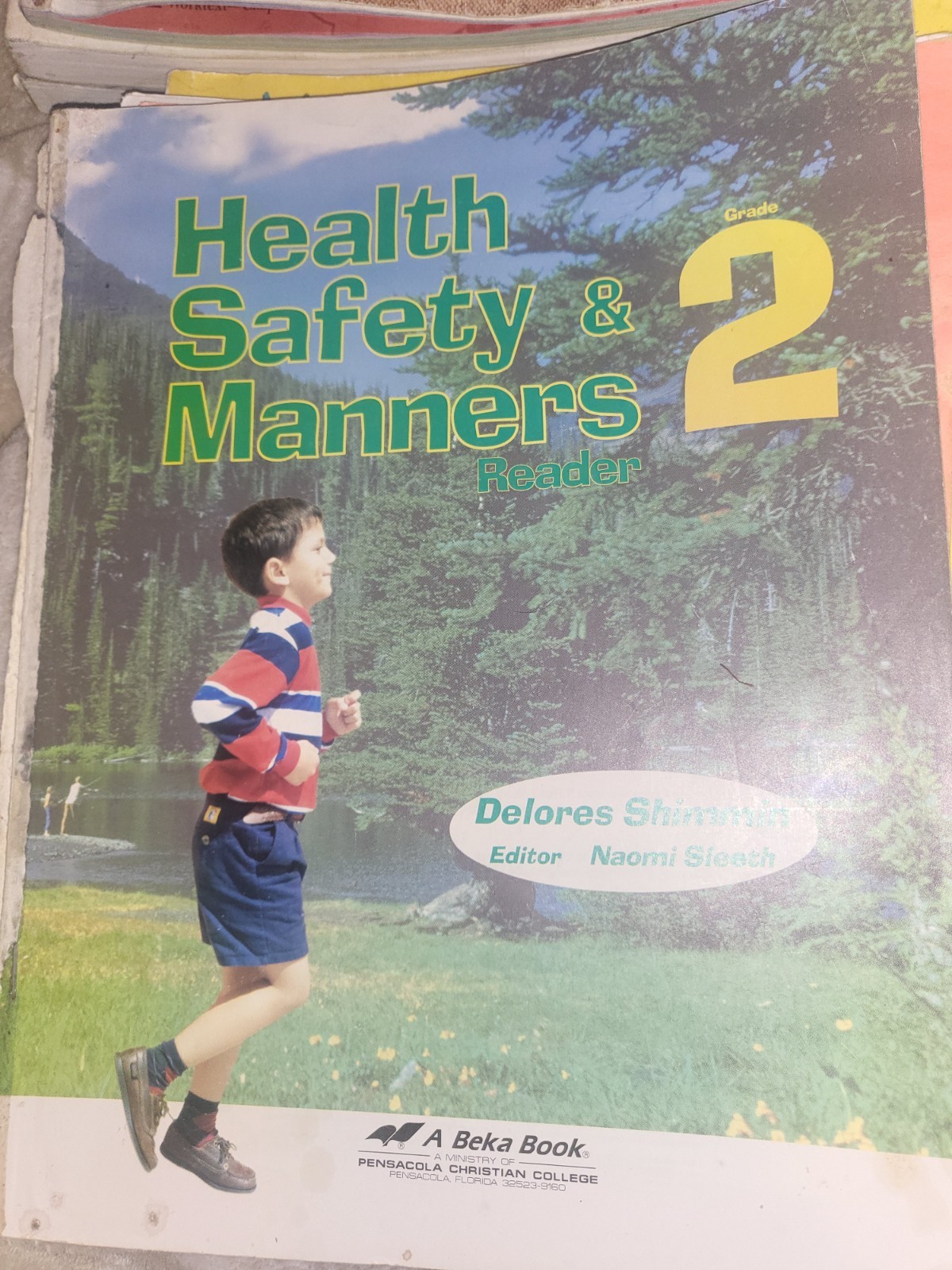 Health, Safety, and Manners 2 by Delores Shimmin (2017, Trade Paperback)