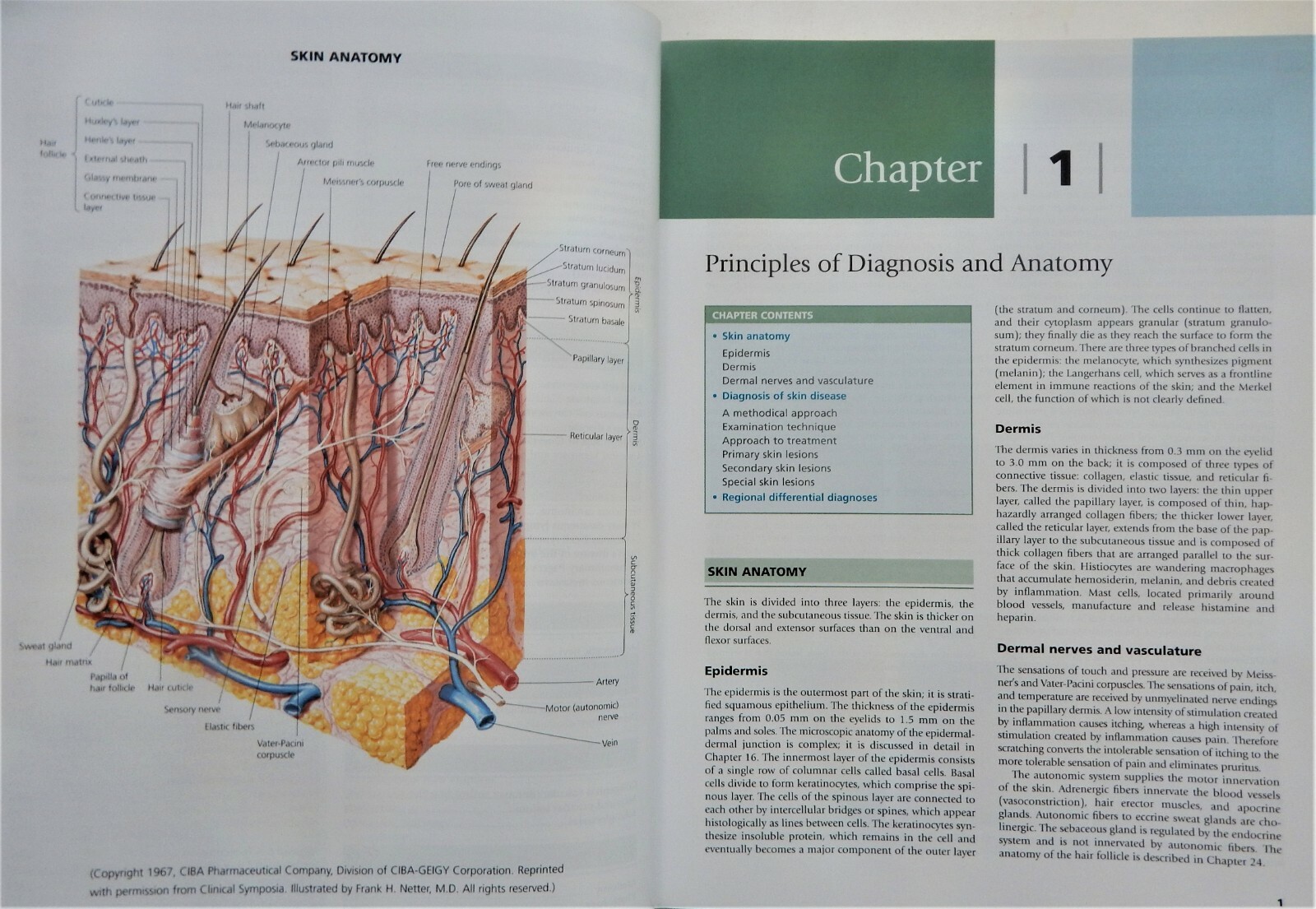 CLINICAL DERMATOLOGY A COLOR GUIDE TO DIAGNOSIS & THERAPY 5E Dr Habif medical LN