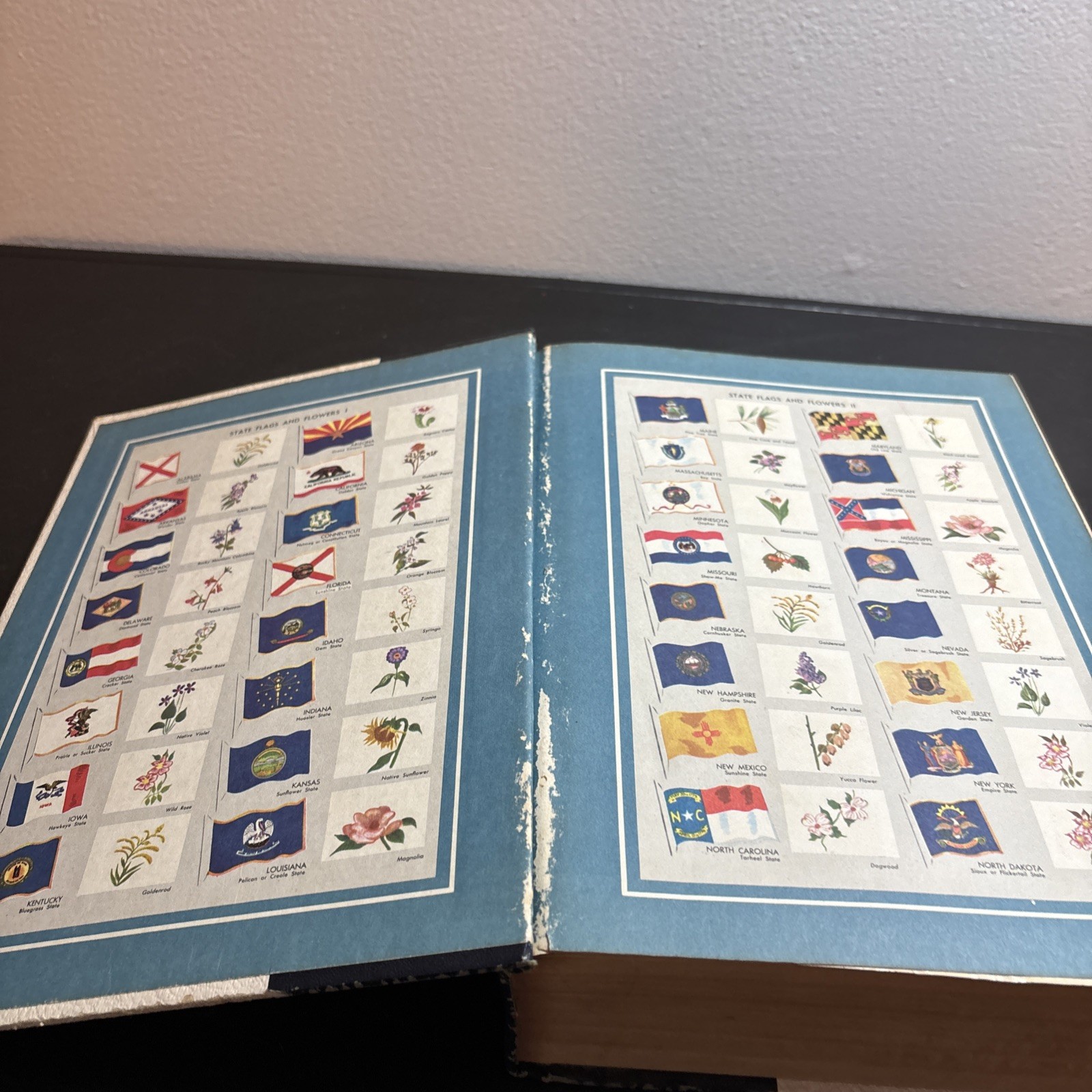 WEBSTER’S Encyclopedia of Dictionaries New American Edition 1978 Large Type Book