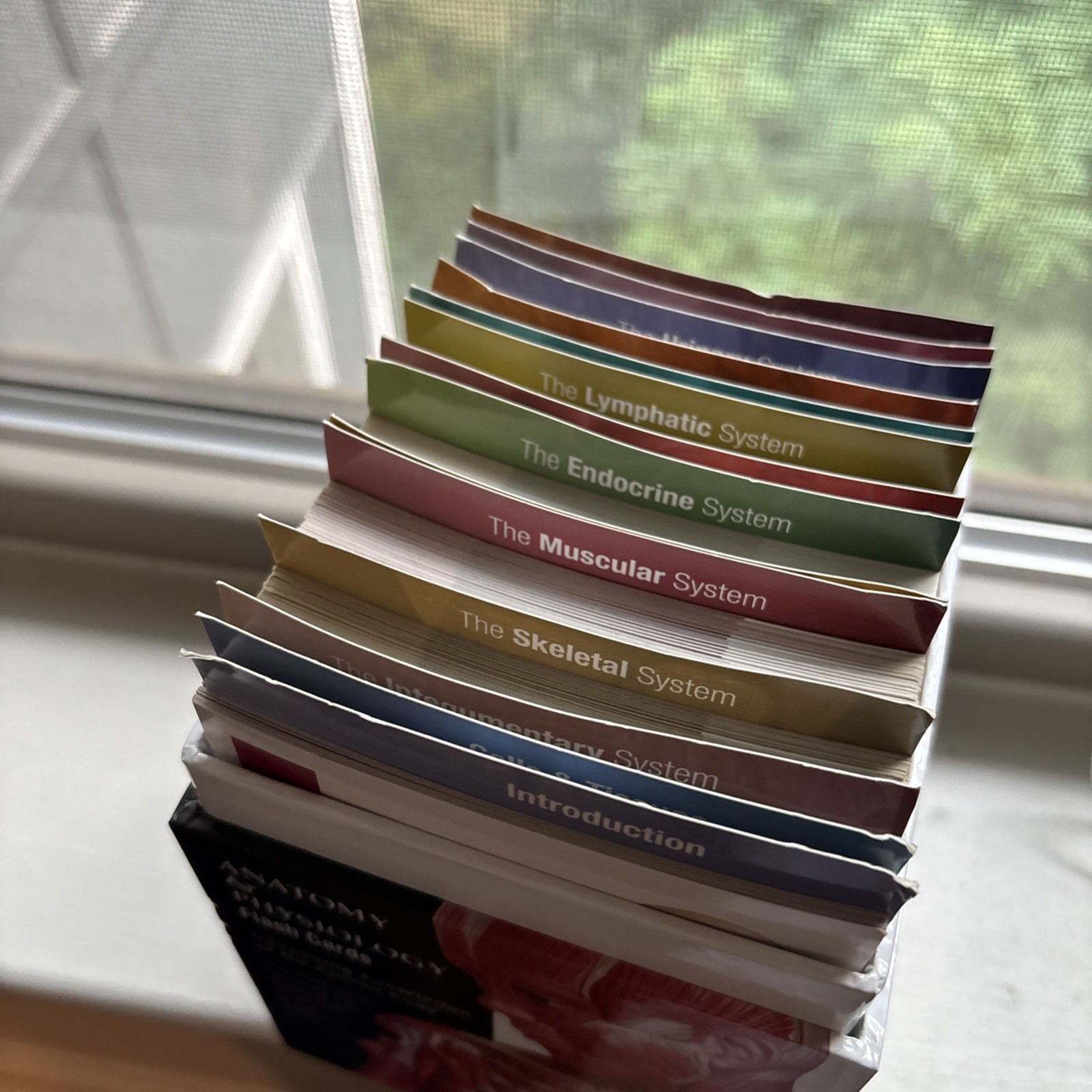 Scientific Publishing – Anatomy & Physiology Medical Flash Cards