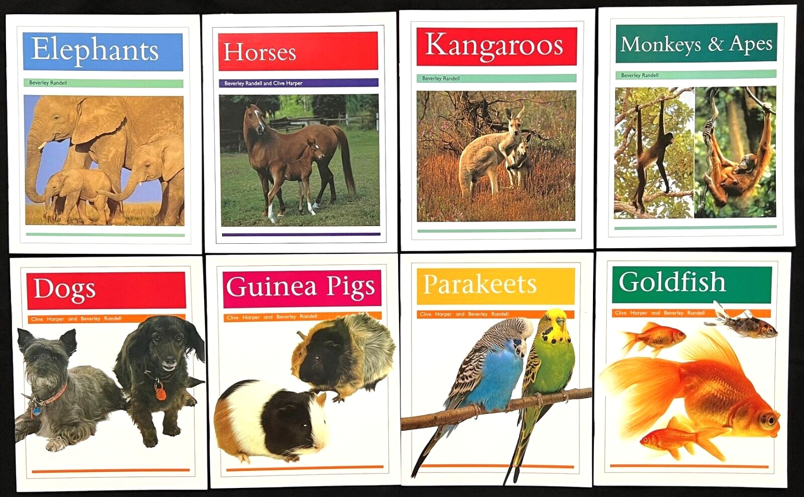 2nd Grade – RIGBY PM COLLECTION – ANIMAL FACTS READERS (8 books) (2013)