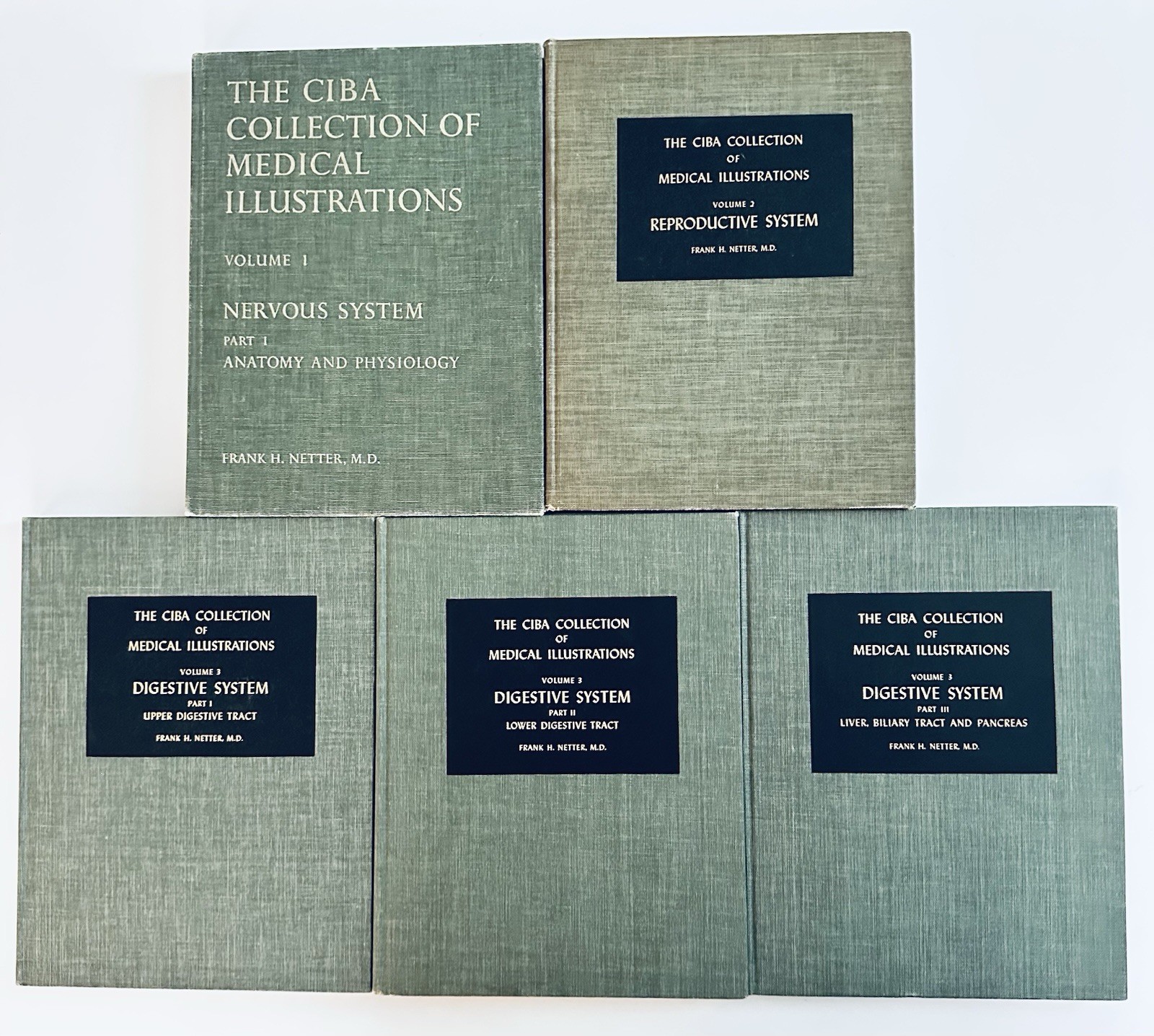 CIBA Medical Illustrations 5 Volume Frank Netter Anatomy Reference Book Set
