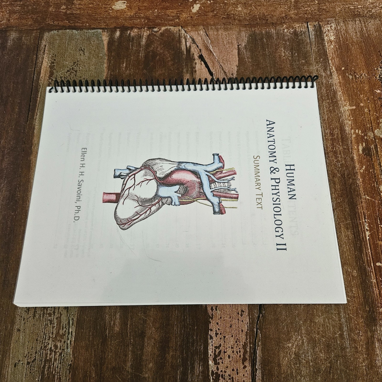 Human Anatomy & Physiology II Summary Text By Ellen H.H. Savoini PhD Spiral 2012
