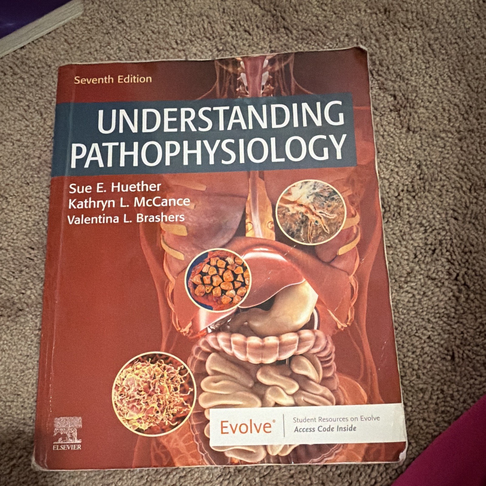 Understanding Pathophysiology 7th Ed Huether McCance Brashers Paperback Elsevier