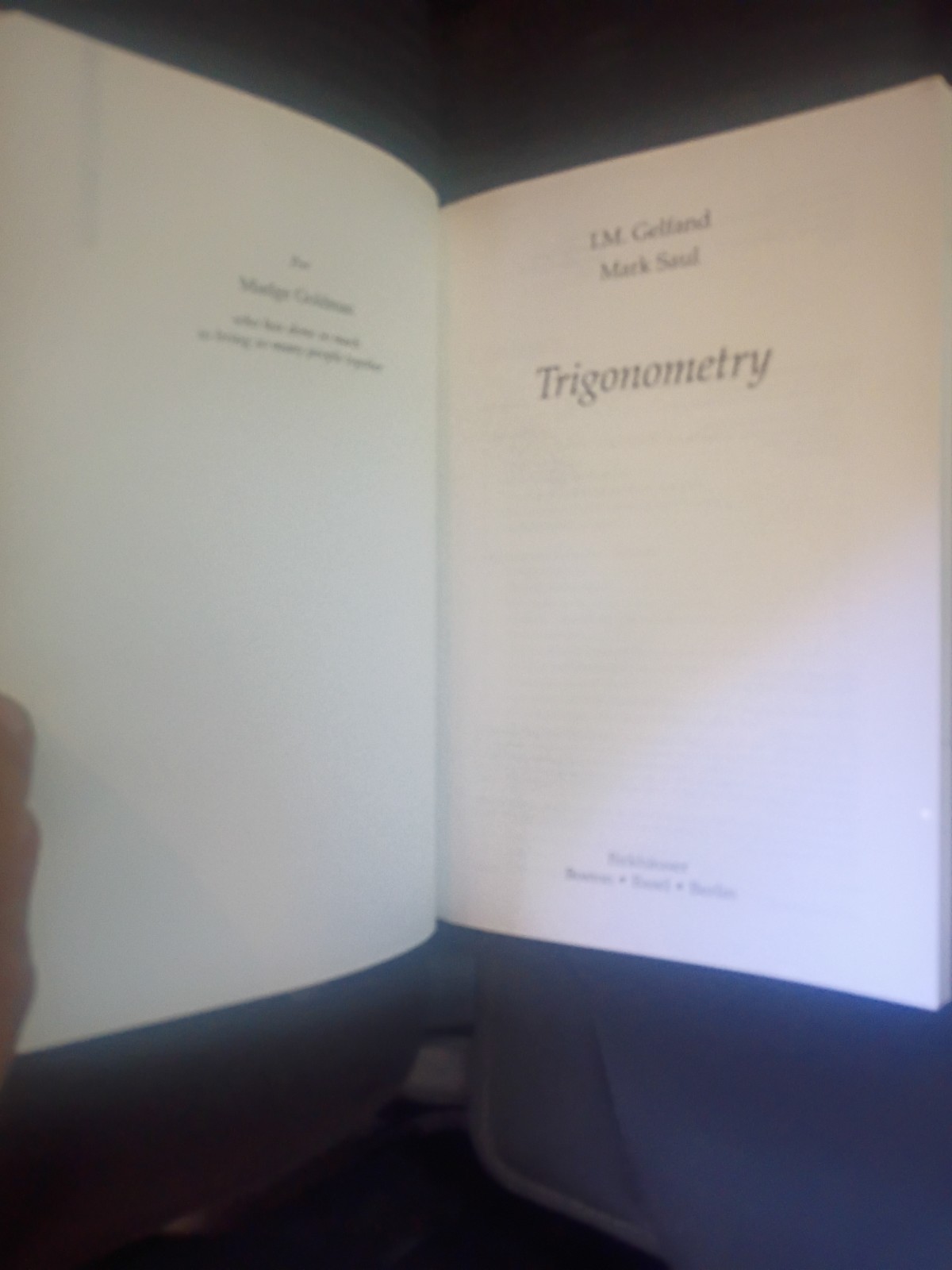 TRIGONOMETRY By I M Gelfand & Mark Saul **BRAND NEW**