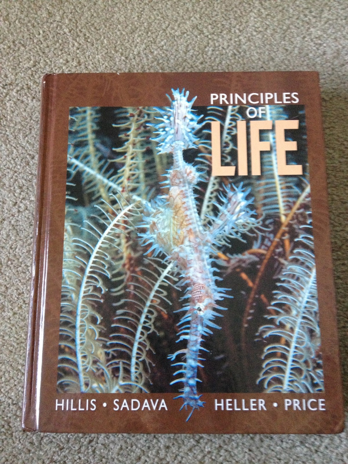 Principles of Life