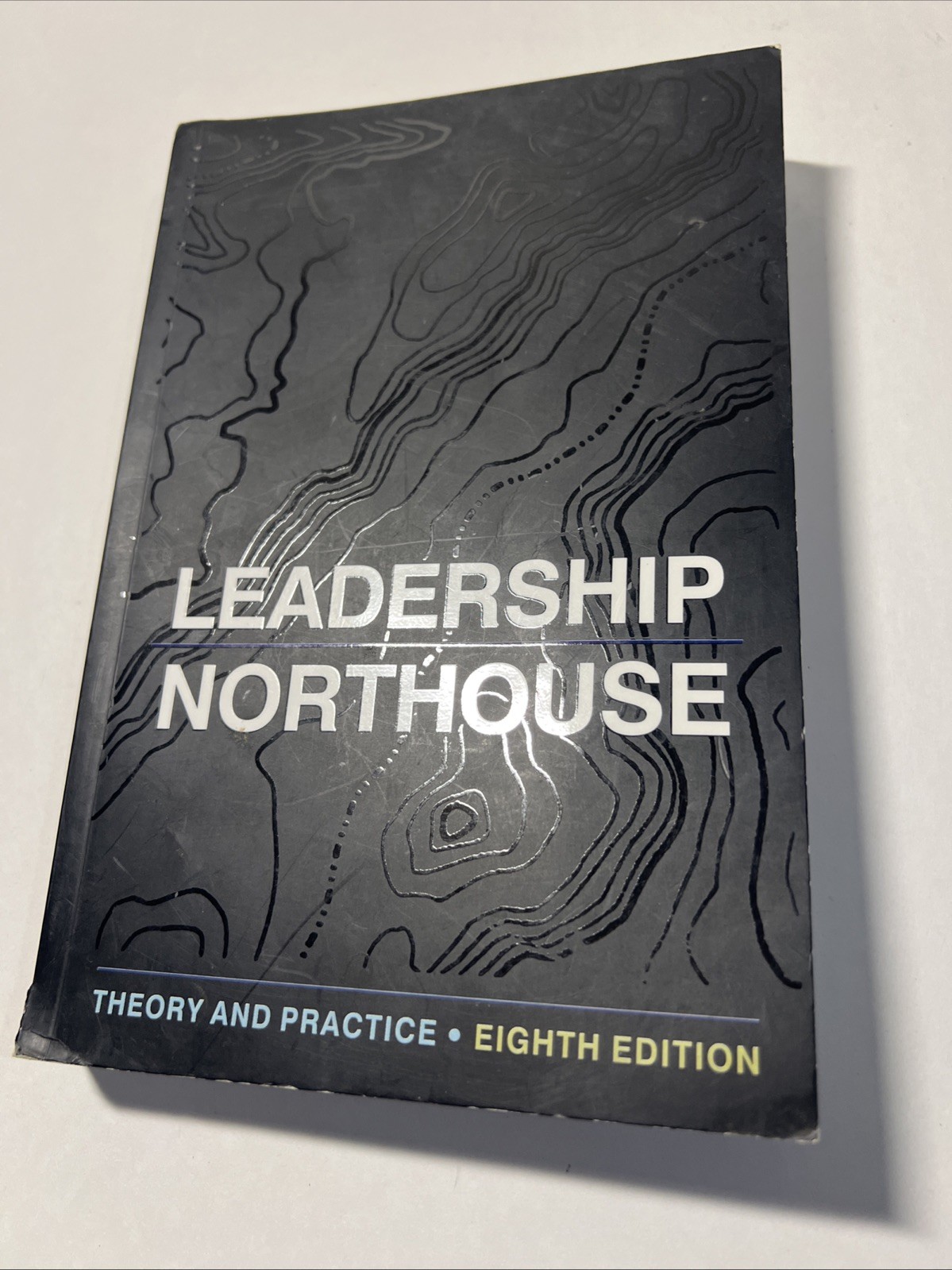 Leadership : Theory and Practice by Peter G. Northouse (2018, Paperback) VG