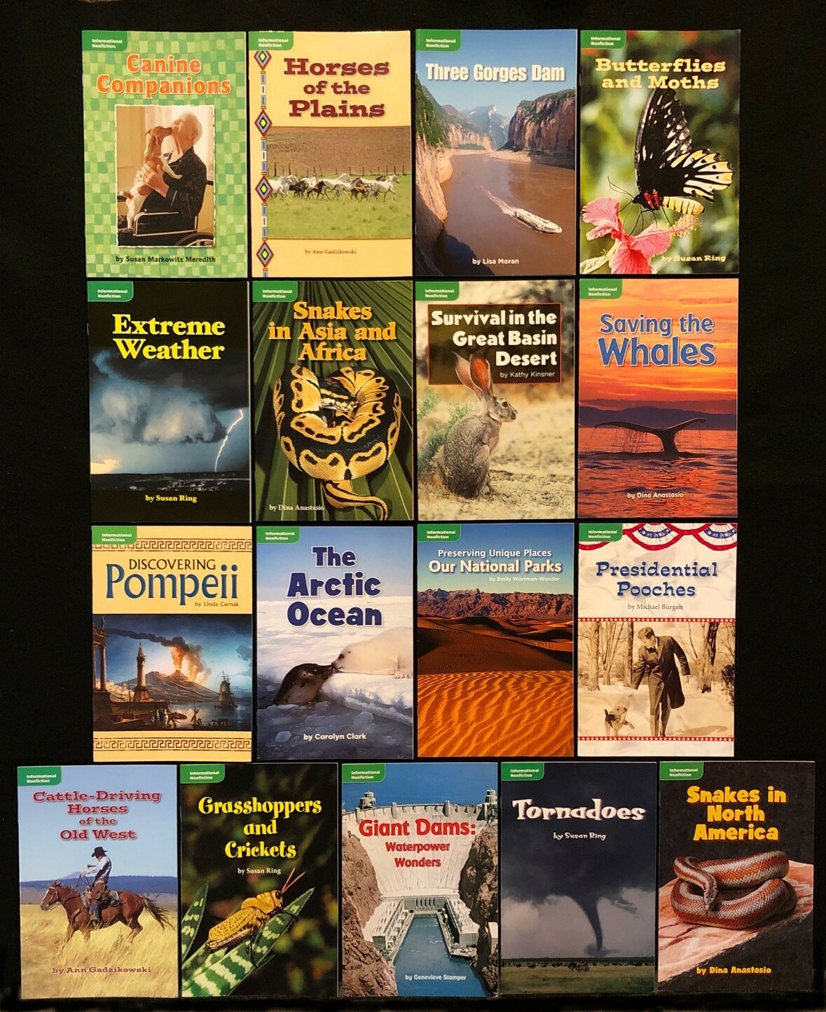4th Grade – GENRE READERS – INFORMATIONAL NONFICTION – 17 books (2009)