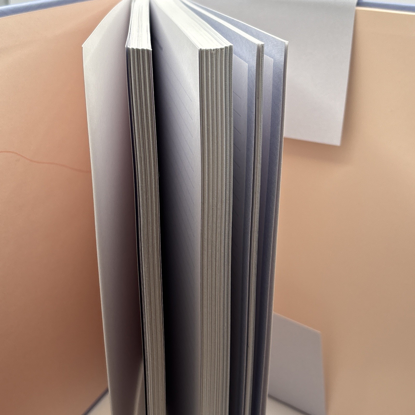 My Pregnancy Journal by Riga Forbes 8.5 x 6.5 Lavender