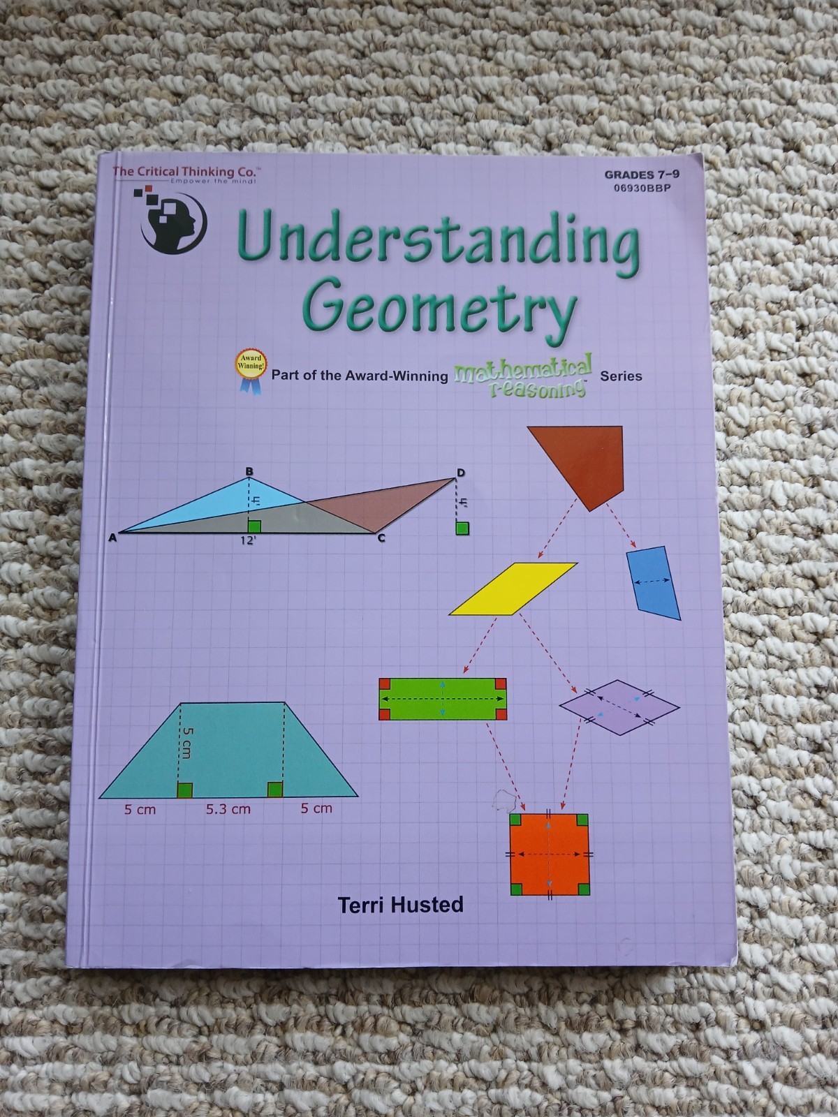 Understanding Geometry Terri Husted Mathematical Reasoning Critical Thinking Co