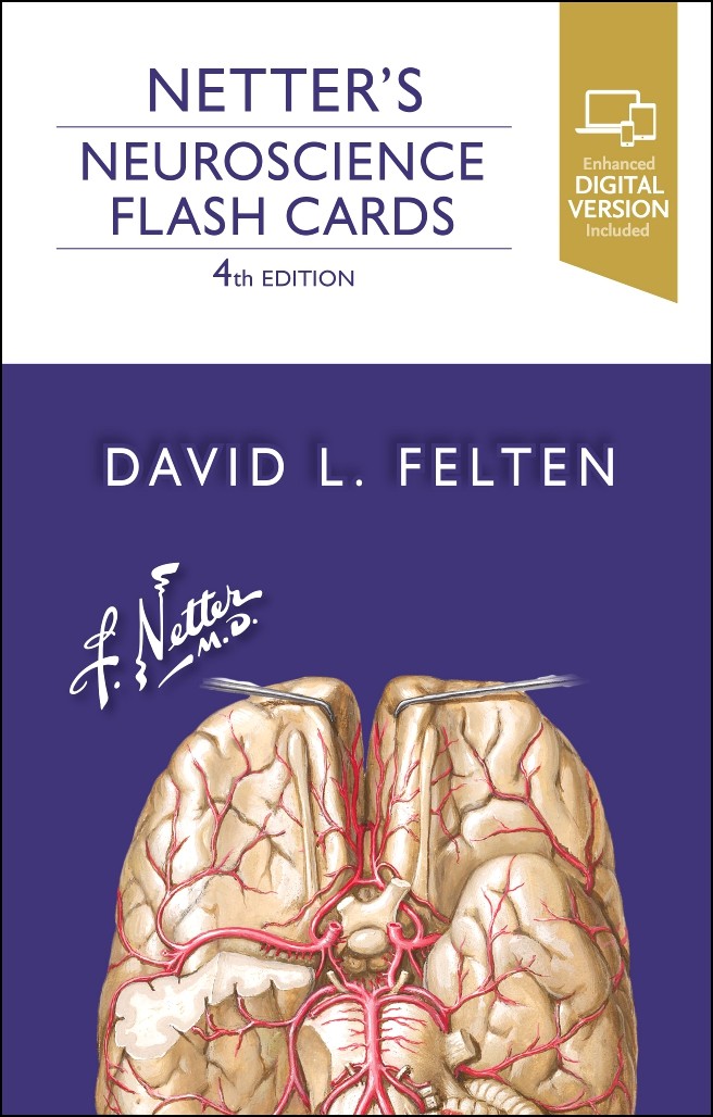 Netter’s Neuroscience Flash Cards