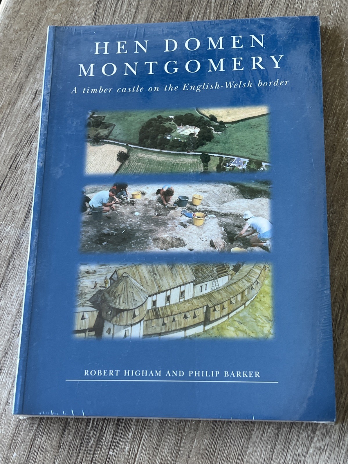 Hen Domen Montgomery: A timber castle on the English-Welsh border (Paperback)