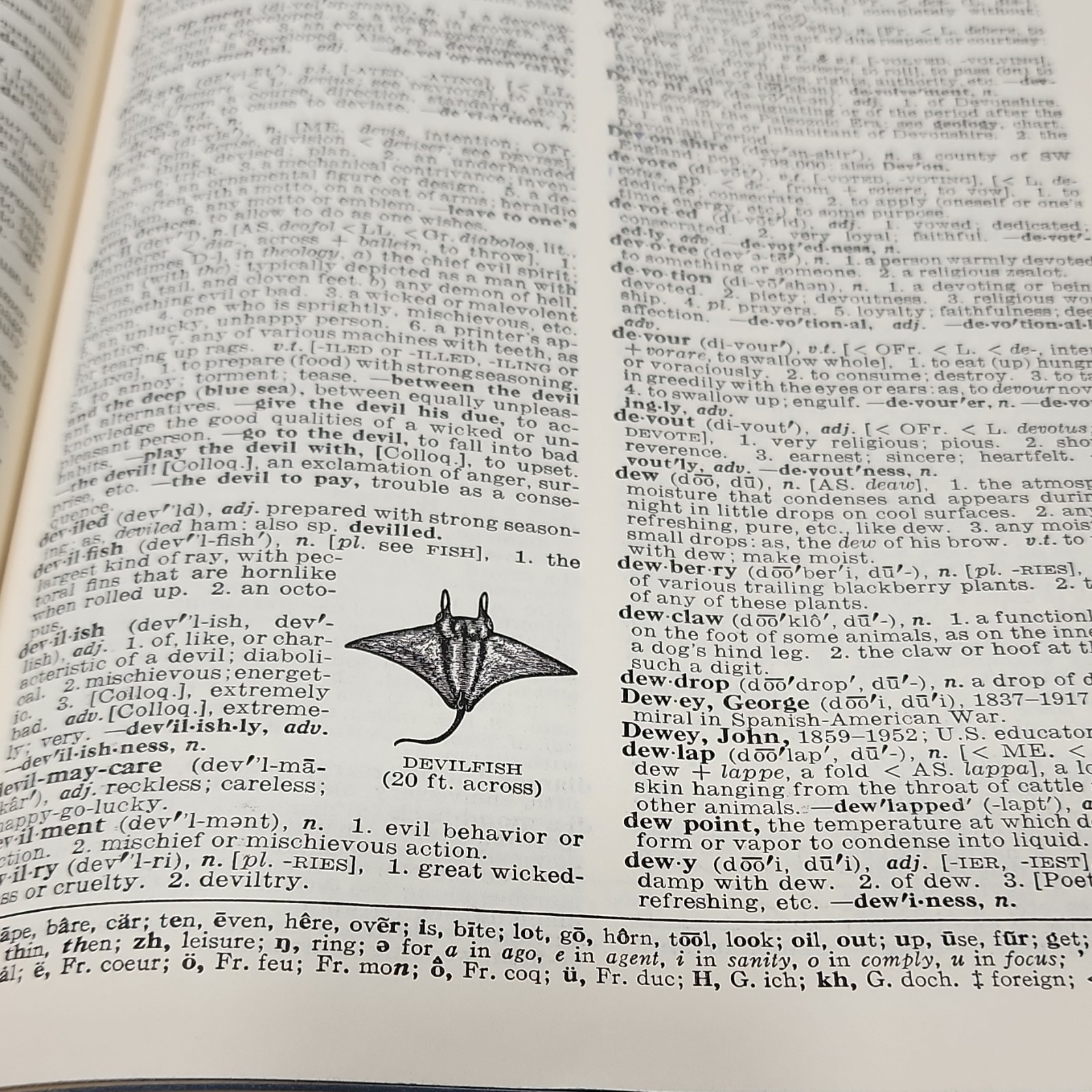 Webster’s New World Concise Dictionary Guralnik Illustrated ORIGINAL SLIPCASE