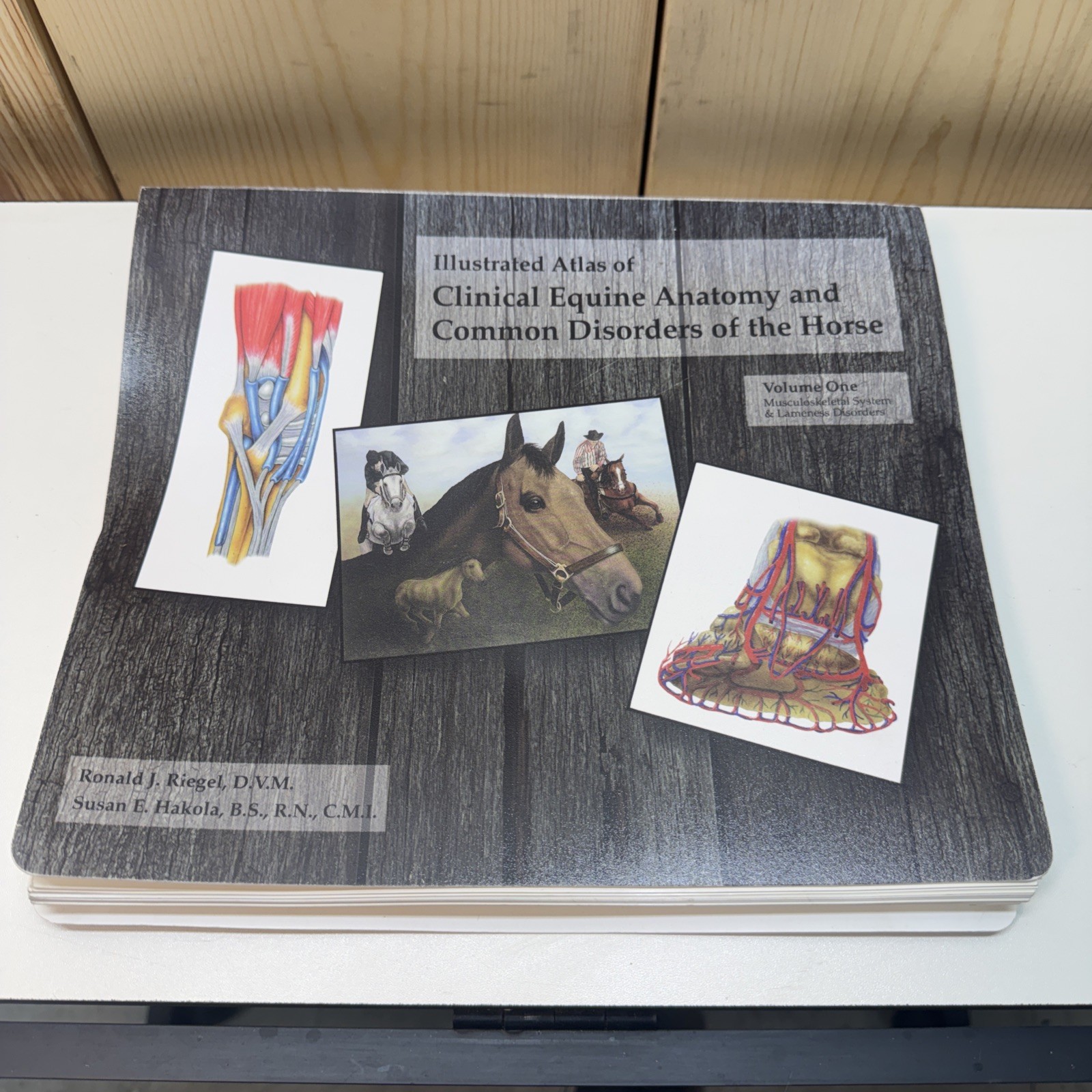 Illustrated Atlas of Clinical Equine Anatomy and Common Disorders Bin BZ