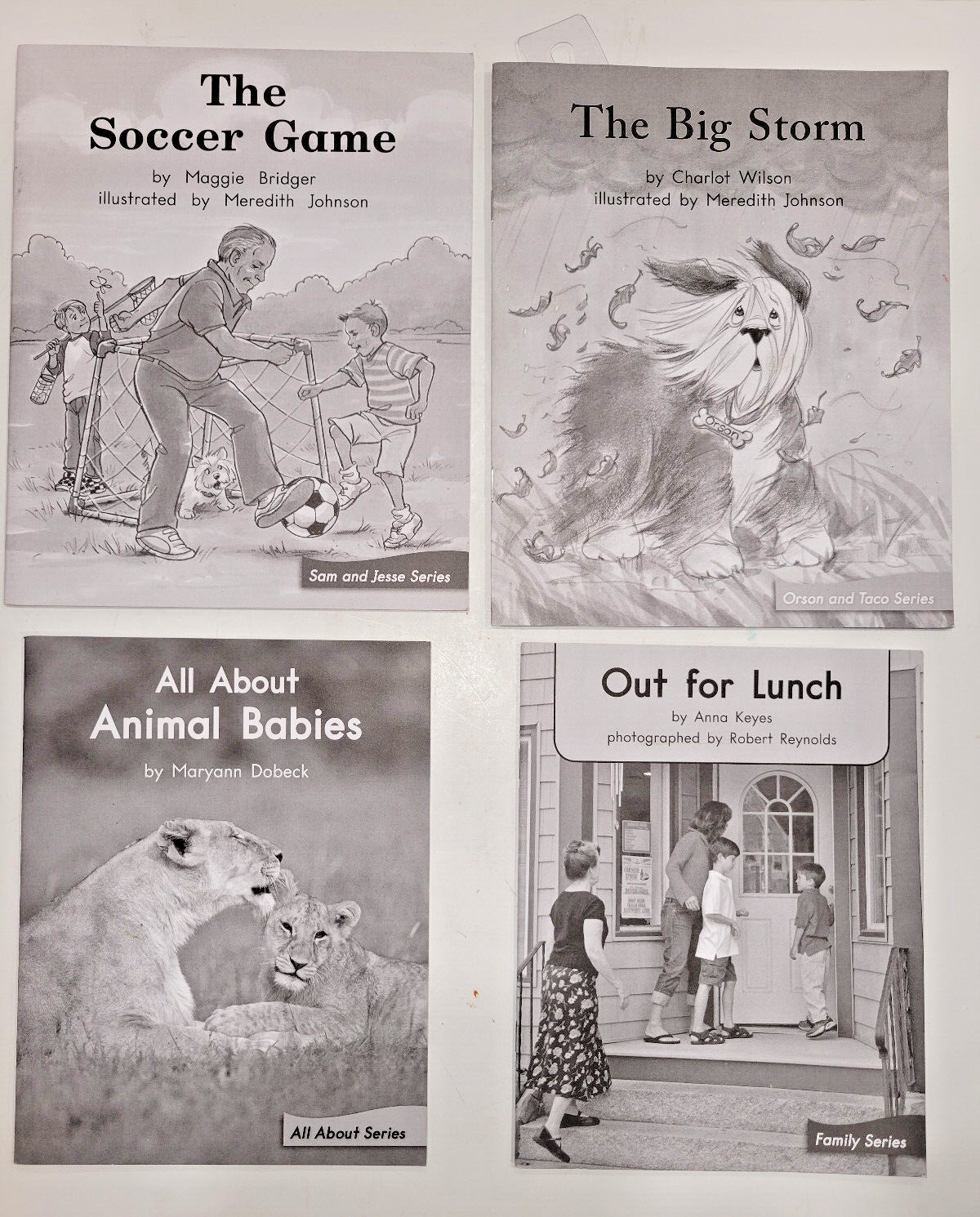 Fountas & Pinnell Lot of 25 My Take Home Book Readers Heinemann Various Authors