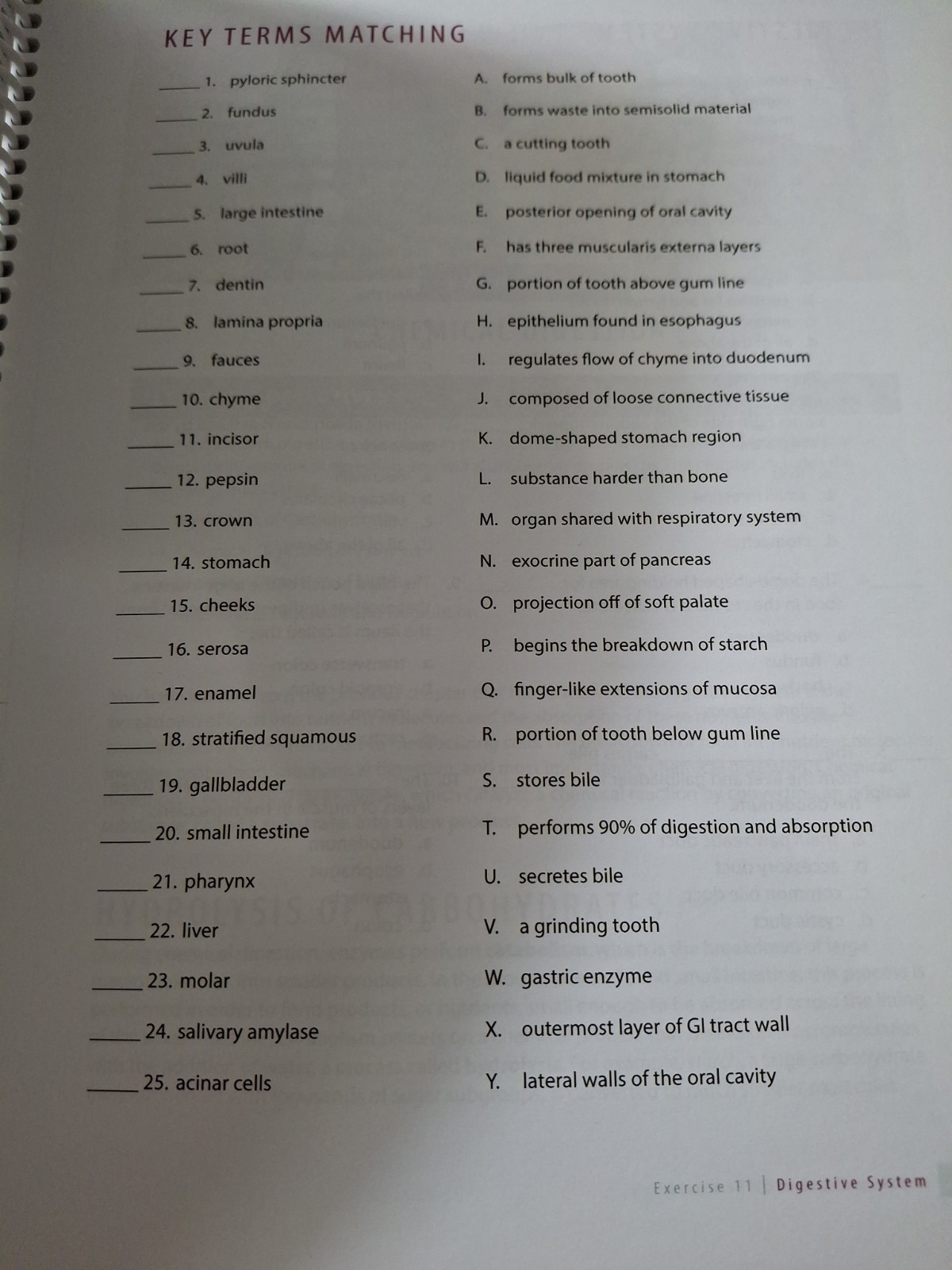 Human Anatomy And Physiology Lab Manual 4th Edition Broward College N Campus